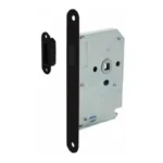 Magnet